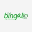 Bingöl FM Logo